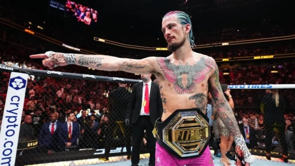 sean o'malley net worth